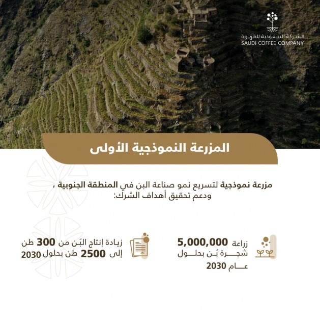 الشركة السعودية للقهوة تحتفل بإطلاق مزرعتها النموذجية الأولى في جازان لتعزيز الممارسات الزراعية المستدامة