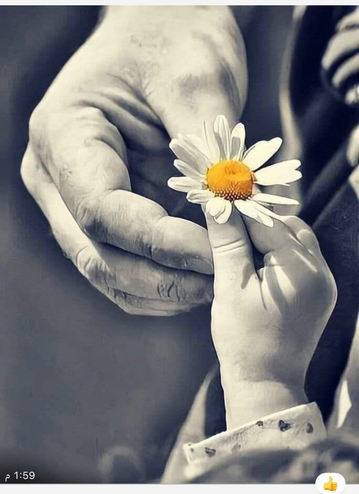 كُناشة أمي 