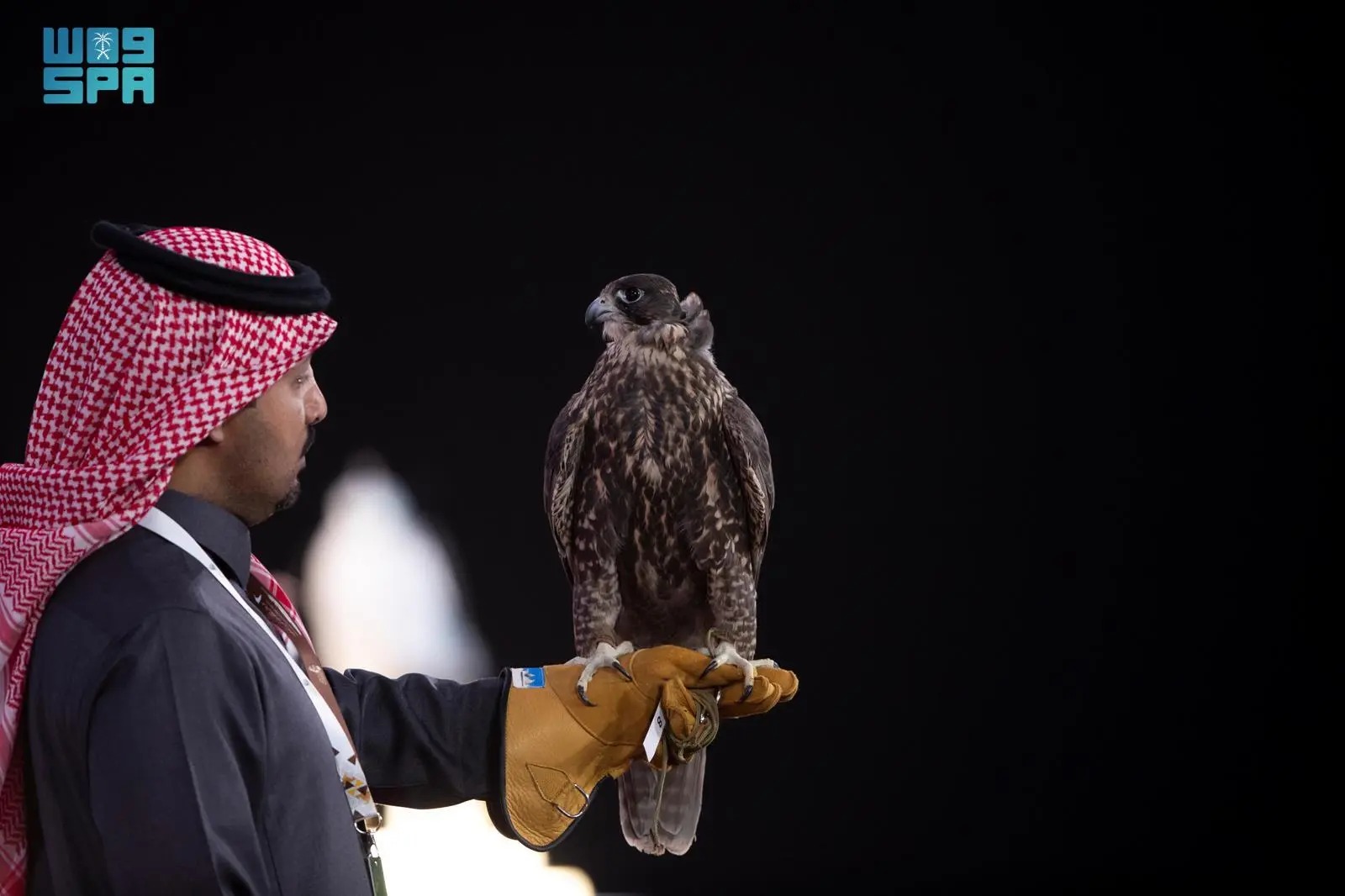 الهيئة الملكية لمحافظة العلا ونادي الصقور السعودي يطلقان النسخة الأولى من مسابقة كأس العلا للصقور