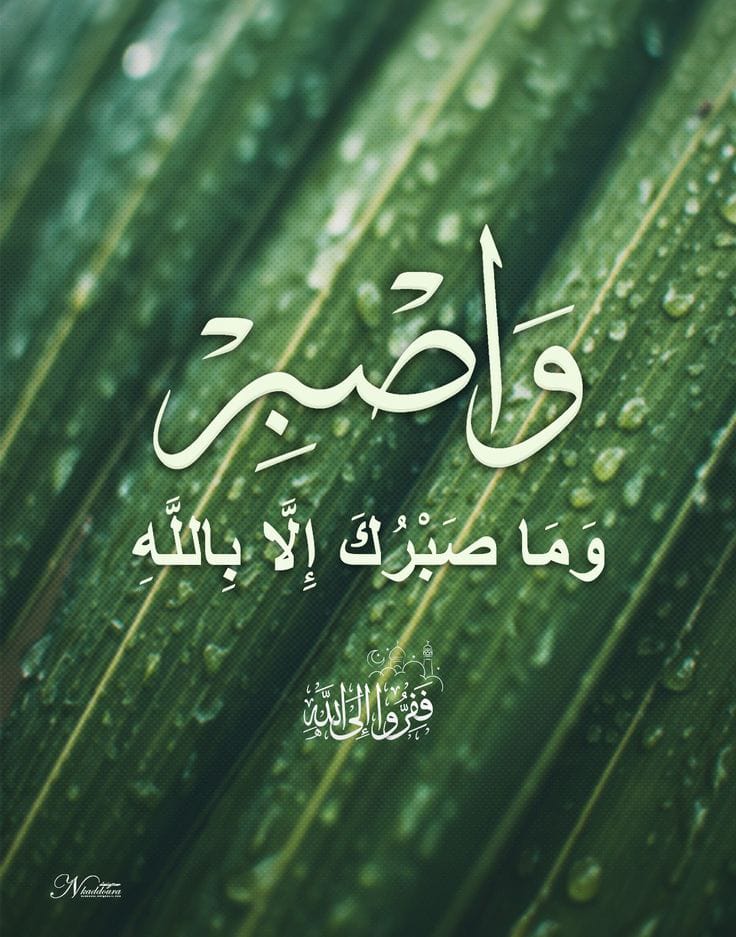 الصبر دواء النفس 