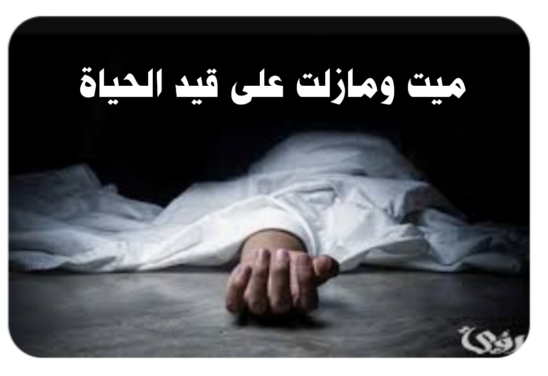 (( أنا ما زلت على قيد الحياة؟ ))