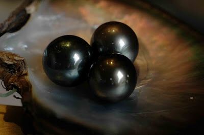 اللؤلؤ الأسود… الجوهرة النادرة والأثمن في أعماق البحار