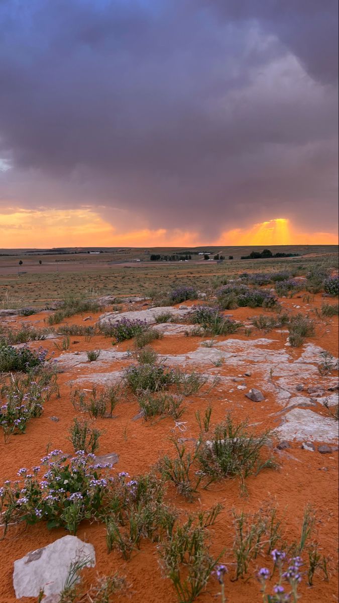 أثر الأصوات الطبيعية المألوفة على الحالة النفسية