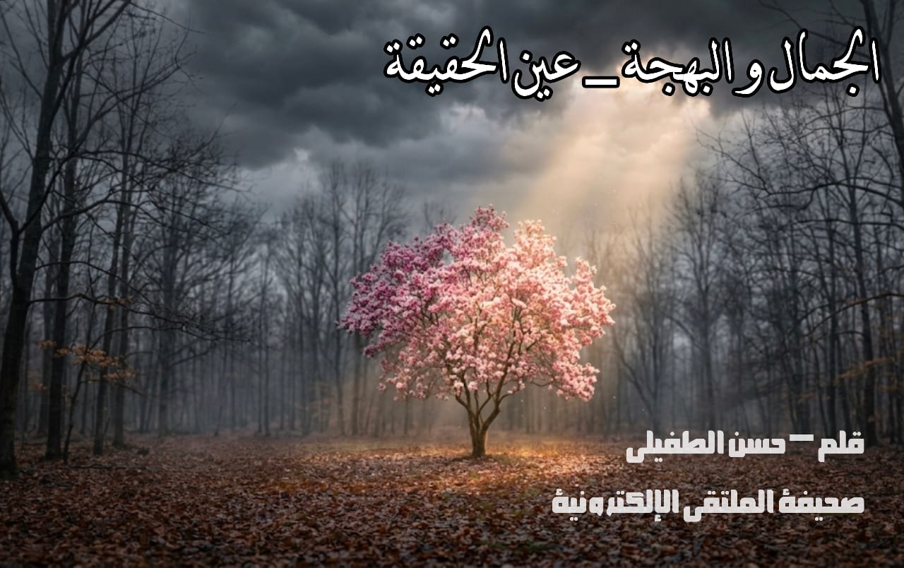 الجمال و البهجة _ عين الحقيقة 